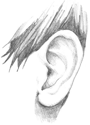 Your Ear—The Great Communicator