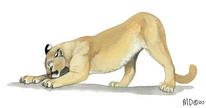 The world's famous track and field animal